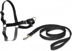 PetSafe Easy Walk® Deluxe Harness - Hondentuig - Blauw - L -1,8 M 31 PetSafe Easy Walk® Deluxe Harness - Hondentuig - Blauw - L -1,8 M -Huisdierbenodigdheden Korting 1200x863 5