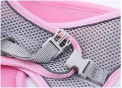 Hondentuigje Voor Kleine Puppy's & Kleine Honden - Blauw - Maat M -Huisdierbenodigdheden Korting 1200x864 7