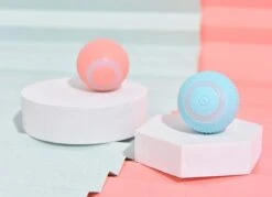 Merkloos EYSS Slimme Bal / Huisdier Speelgoedbal / Kattenspeeltje / Zelfrollende Kattenbal / Smart Rollende Bal / Oplaadbare Speeltje Voor Poesjes /Katten -Huisdierbenodigdheden Korting 1200x868 10