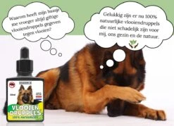 100% Natuurlijke Vlooiendruppels - Voor Grotere Honden - Van 30-40 Kg - Vlooien - Made In Holland - Zonder Schadelijke Pesticiden - Vachtdruppels -Huisdierbenodigdheden Korting 1200x872 11
