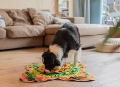 SNUFFIES® Snuffelmat Belle 60x50cm – Snuffelmat – Snuffelmatten - Honden Speelgoed - Honden Speelgoed Intelligentie - Snuffelmat Hond - Snuffelmatten – Hersenwerk – Honden Speeltjes – Puppy - Puppy Speelgoed - Honden Denkspelletjes -Huisdierbenodigdheden Korting 1200x872 12