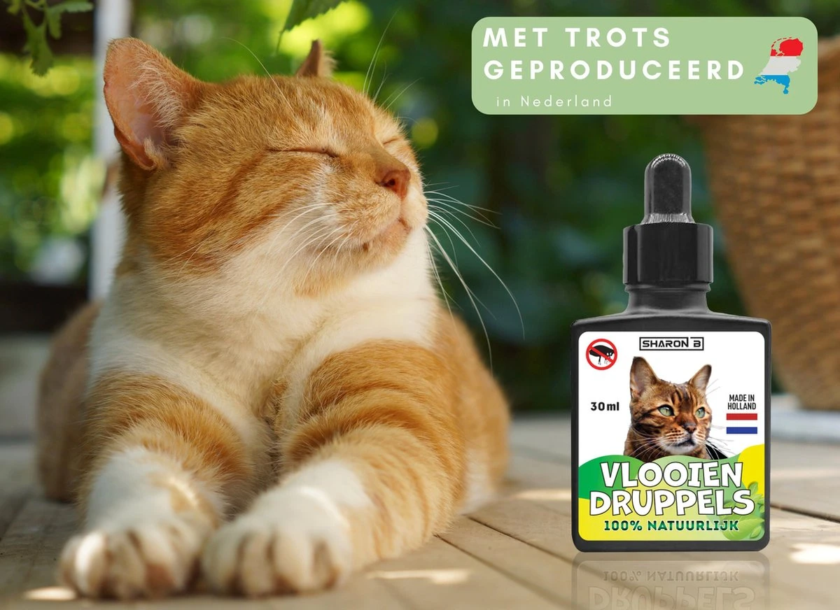 Natuurlijke Vlooiendruppels Voor Katten - Vanaf 4 Kg - 100% Natuurlijk - Vlooien - Zonder Giftige Pesticiden - 30 Ml - Speciale Formule Voor Katten - Vachtdruppels - Made In Holland 7 Natuurlijke Vlooiendruppels Voor Katten - Vanaf 4 Kg - 100% Natuurlijk - Vlooien - Zonder Giftige Pesticiden - 30 Ml - Speciale Formule Voor Katten - Vachtdruppels - Made In Holland - Image 5