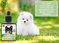 100% Natuurlijke Vlooiendruppels - Vachtdruppels - Voor Kleine Honden Tot 10 Kg - Hondendruppels - Vlooien -Huisdierbenodigdheden Korting 1200x872 7