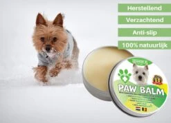 100% Natuurlijke Potenbalsem - Paw Balm - Voor Honden Tot 15 Kg - Beschermt Voetzooltjes - Tegen Kloven, Wondjes, Ontstekingen -Huisdierbenodigdheden Korting 1200x872 9