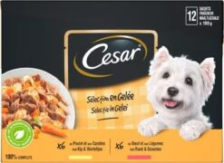 Cesar Selectie In Gelei Maaltijdzakjes Honden Natvoer - Vlees En Groenten In Gelei - 48 X 100g -Huisdierbenodigdheden Korting 1200x874 1