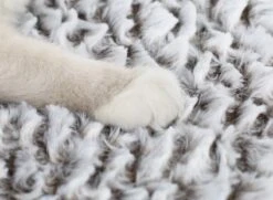 Merkloos Zelfverwarmende Dierendeken Zonder Stroom Thermo Deken Hond Kat Inclusief Adreslabel 70 X 47 Cm 16 Merkloos Zelfverwarmende Dierendeken Zonder Stroom Thermo Deken Hond Kat Inclusief Adreslabel 70 X 47 Cm -Huisdierbenodigdheden Korting 1200x878 7