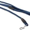 Merkloos Slipriem - Nylon - Riem Voor Hond - Blauw 1 Merkloos Slipriem - Nylon - Riem Voor Hond - Blauw -Huisdierbenodigdheden Korting 1200x884 4