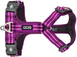 Dog Copenhagen - Comfort Walk Air Met Urban Rope Leash Riem 160 Cm - Paars - XL - 82-106 Cm -Huisdierbenodigdheden Korting 1200x891 1