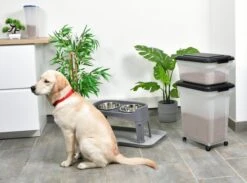 Iris Ohyama Air Tight Food Container Set Van 2 - ATS-C - Kunststof - 20 En 45 Liter - Transparant/Grijs - Met Schepje 11 Iris Ohyama Air Tight Food Container Set Van 2 - ATS-C - Kunststof - 20 En 45 Liter - Transparant/Grijs - Met Schepje -Huisdierbenodigdheden Korting 1200x891