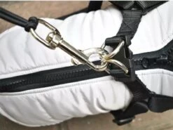 Fiets Hondenriem - Fietsbeugel Voor De Hond -Honden Fietsbeugel - Hondenlijn-Lijn Dog- Afstandshouder Hond -Huisdierbenodigdheden Korting 1200x897 2