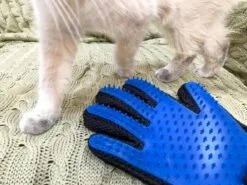 Vacht Verzorgingsborstel Voor Huisdieren - Blauw - LimitedDeals - Voor Honden Katten Konijnen Paarden - Tevens Massage Handschoen Voor Dieren! - Goed Voor De Verzorging Van De Vacht 19 Vacht Verzorgingsborstel Voor Huisdieren - Blauw - LimitedDeals - Voor Honden Katten Konijnen Paarden - Tevens Massage Handschoen Voor Dieren! - Goed Voor De Verzorging Van De Vacht -Huisdierbenodigdheden Korting 1200x897