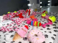 Honden Speelgoed - Puppy Speelgoed - 11 Stuks - Roze - 1 Speeltje Gratis - Honden Knuffel - Trektouw - Honden Speeltjes 12 Honden Speelgoed - Puppy Speelgoed - 11 Stuks - Roze - 1 Speeltje Gratis - Honden Knuffel - Trektouw - Honden Speeltjes -Huisdierbenodigdheden Korting 1200x898 4