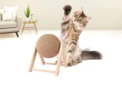 Janse Katten Krab Bal - Katten Speelgoed - Krabmeubel - Kattenkrabpaal - Krabplank - Krabbal - Kattenspeeltje - Krabbol - Inclusief Kattenkruid -Huisdierbenodigdheden Korting 1200x898 8
