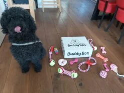 Honden Speelgoed - Puppy Speelgoed - 11 Stuks - Roze - 1 Speeltje Gratis - Honden Knuffel - Trektouw - Honden Speeltjes 11 Honden Speelgoed - Puppy Speelgoed - 11 Stuks - Roze - 1 Speeltje Gratis - Honden Knuffel - Trektouw - Honden Speeltjes -Huisdierbenodigdheden Korting 1200x899 12