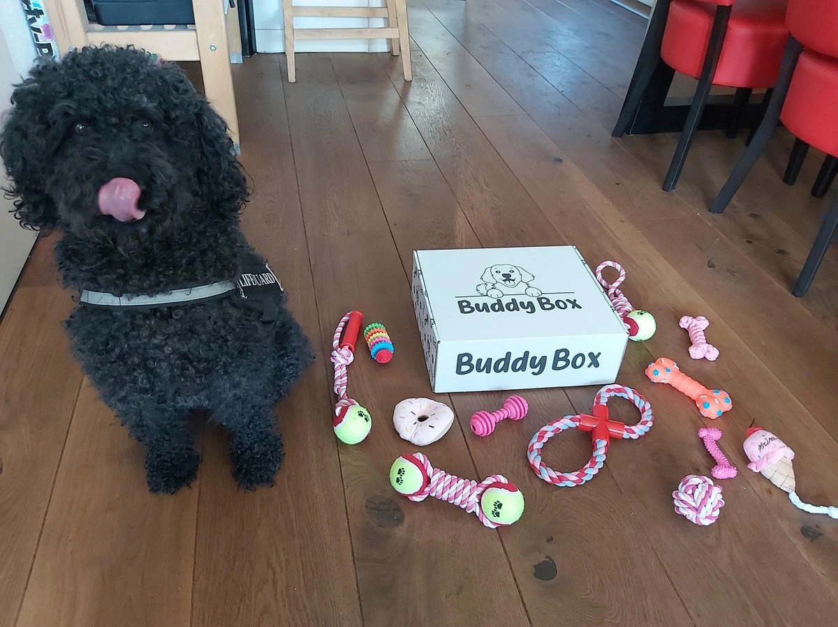 Honden Speelgoed - Puppy Speelgoed - 11 Stuks - Roze - 1 Speeltje Gratis - Honden Knuffel - Trektouw - Honden Speeltjes 6 Honden Speelgoed - Puppy Speelgoed - 11 Stuks - Roze - 1 Speeltje Gratis - Honden Knuffel - Trektouw - Honden Speeltjes - Image 4