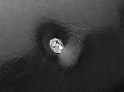 Huisdierbenodigdheden Korting -Huisdierbenodigdheden Korting 1200x899 15