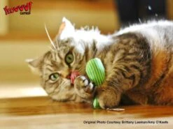 Yeowww! Stinkies Sardientje - Rood Met Sterren - 7.5 Cm - Catnip Kattenkruid ( Kattenspeeltjes ) -Huisdierbenodigdheden Korting 1200x899 21