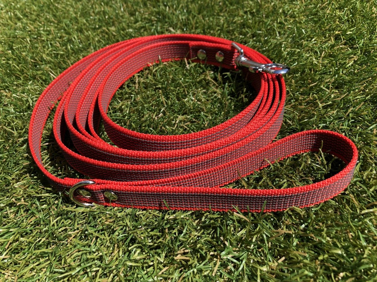 Merkloos Hondenriem - Antislip Lijn - 3 Meter - Rood - Training - Anti Slip - Volglijn - Looplijn - Speurlijn - Puppy 3 Merkloos Hondenriem - Antislip Lijn - 3 Meter - Rood - Training - Anti Slip - Volglijn - Looplijn - Speurlijn - Puppy