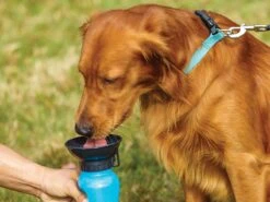 Honden Waterfles 500ML - Bidon - Honden Drinkfles - Waterfles Hond - Blauw -Huisdierbenodigdheden Korting 1200x900 15