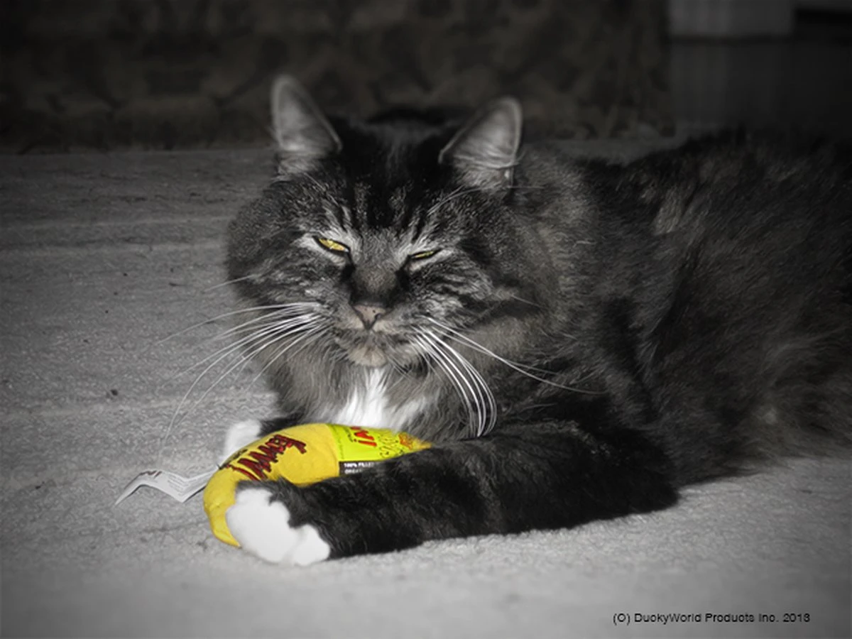 Yeowww! Chicata Banana - Speeltje Voor Katten Met Kattenkruid - De Meest Krachtige Catnip Ter Wereld – Onweerstaanbaar – Katoen – 17.7 Cm - Geel 8 Yeowww! Chicata Banana - Speeltje Voor Katten Met Kattenkruid - De Meest Krachtige Catnip Ter Wereld – Onweerstaanbaar – Katoen – 17.7 Cm - Geel - Image 6