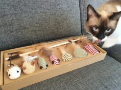 Make Life Beautiful® - Kattenspeeltjes Set - 7-delig - Kattenspeelgoed - Kattenhengel - Speelmuisjes - Kattenspeelgoed Set 17 Make Life Beautiful® - Kattenspeeltjes Set - 7-delig - Kattenspeelgoed - Kattenhengel - Speelmuisjes - Kattenspeelgoed Set -Huisdierbenodigdheden Korting 1200x900 51