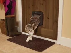 PetSafe Staywell Microchip Kattenluik - Bruin -Huisdierbenodigdheden Korting 1200x900 53