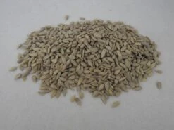 Gepelde Zonnebloempitten - Kernen 10kg