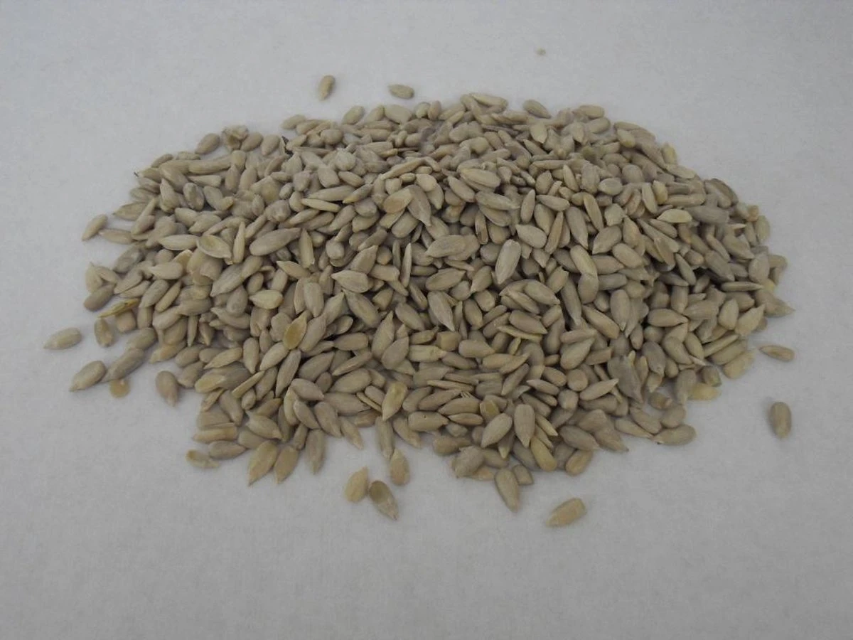 Gepelde Zonnebloempitten - Kernen 10kg 3 Gepelde Zonnebloempitten - Kernen 10kg