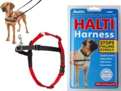 Company Of Animals Halti Harnass - Anti Trektuigje - Hond - Large - Borstomvang Boven De 80 Cm – Zwart -Huisdierbenodigdheden Korting 1200x901 1