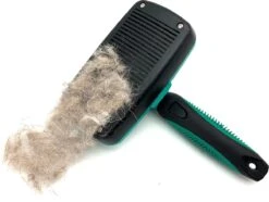 ElegaPet Hondenborstel Groen - Hondenhaar Verwijderen - Kat En Hondenkam - Slickerborstel Hond En Kat - Groomer - Ondervacht Kam Hond - Borstel Hond - Hondenborstel Langharig En Kortharig - Slickerborstel - Anti Klit/Knopen/Huidschilfers -Huisdierbenodigdheden Korting 1200x902