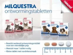 Beaphar Milquestra Kleine Kat/kitten - 0,5 Tot 4 Kg - 2 Tabletten 15 Beaphar Milquestra Kleine Kat/kitten - 0,5 Tot 4 Kg - 2 Tabletten -Huisdierbenodigdheden Korting 1200x904 12