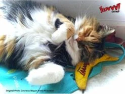 Yeowww! Chicata Banana - Speeltje Voor Katten Met Kattenkruid - De Meest Krachtige Catnip Ter Wereld – Onweerstaanbaar – Katoen – 17.7 Cm - Geel 12 Yeowww! Chicata Banana - Speeltje Voor Katten Met Kattenkruid - De Meest Krachtige Catnip Ter Wereld – Onweerstaanbaar – Katoen – 17.7 Cm - Geel -Huisdierbenodigdheden Korting 1200x904 14