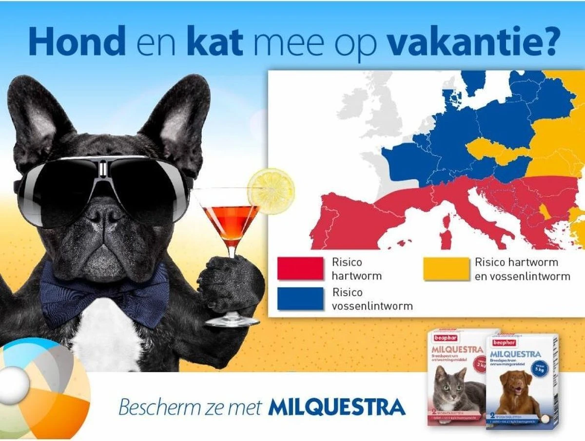 Beaphar Milquestra Kleine Hond/Puppy - Ontwormingsmiddel - 2 Tabletten 4 Beaphar Milquestra Kleine Hond/Puppy - Ontwormingsmiddel - 2 Tabletten - Image 2