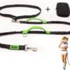 Filo Elastische Hondenriem Groot - Hardlopen En Wandelen - Hardloopriem Hond Handsfree Met Heuptasje - Looplijn Met Heupriem - Canicross Gordel Honden - Riemen - Heupgordel - Leiband -Huisdierbenodigdheden Korting 1200x908 1