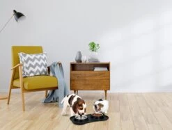 Merkloos Pet Treatment - Voerbakken Voor Huisdier Met Onderlegger - 2 X 170 Milliliter - RVS En Kunststof -Huisdierbenodigdheden Korting 1200x908 3