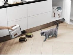 Curver Voercontainer Kat - 6 L -Huisdierbenodigdheden Korting 1200x910 6