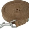 Hondenriem 10 Meter | Gerecycled Nylon | Lange Lijn | Leiband Hond 10m | Trainingslijn | Bruin -Huisdierbenodigdheden Korting 1200x913 1