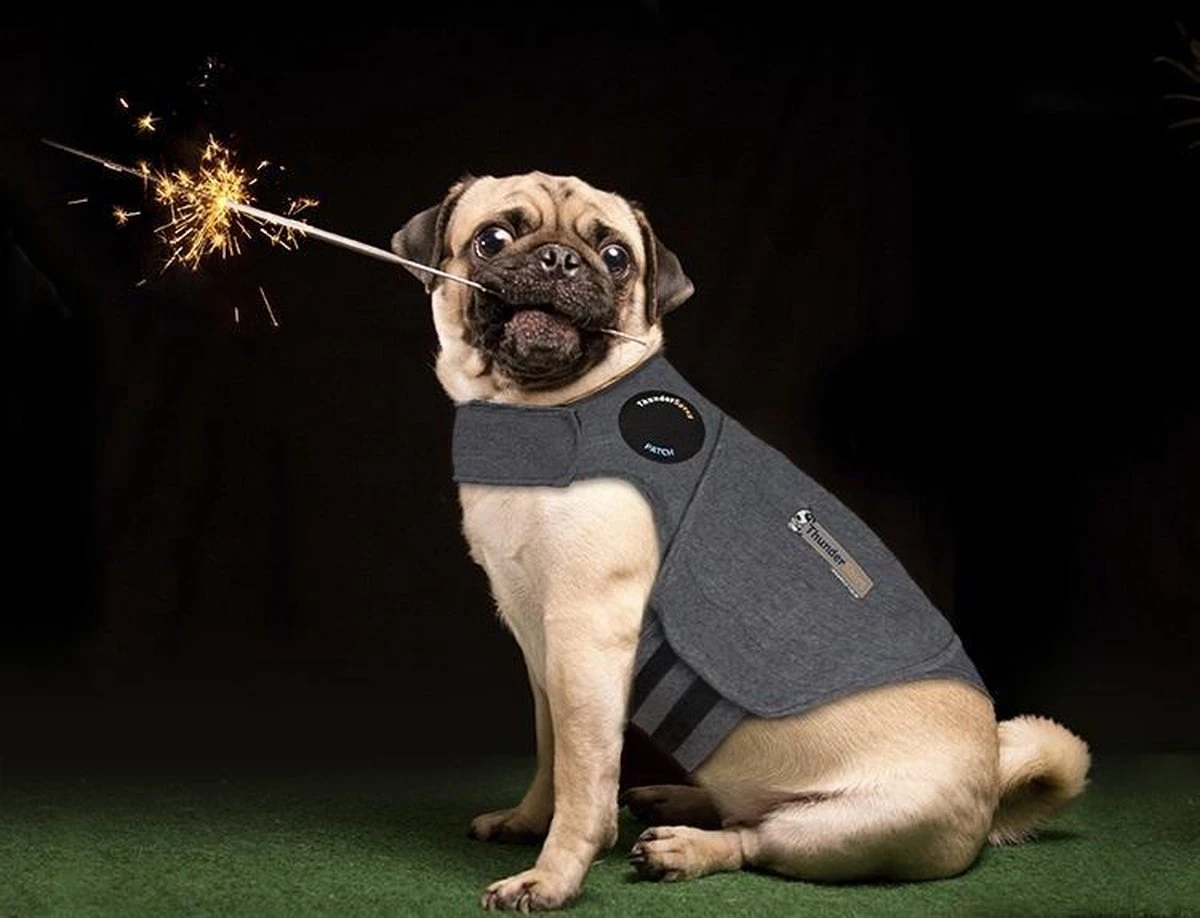 Thundershirt Antistress Vest - Dieren Antistressmiddel - Hond - Grijs - S - 43-53 Cm 11 Thundershirt Antistress Vest - Dieren Antistressmiddel - Hond - Grijs - S - 43-53 Cm - Image 9