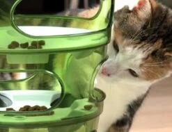 Cat-It Senses 2.0 Food Tree - Wit/Groen - Voerbak - Ø 35 Cm 15 Cat-It Senses 2.0 Food Tree - Wit/Groen - Voerbak - Ø 35 Cm -Huisdierbenodigdheden Korting 1200x923 5