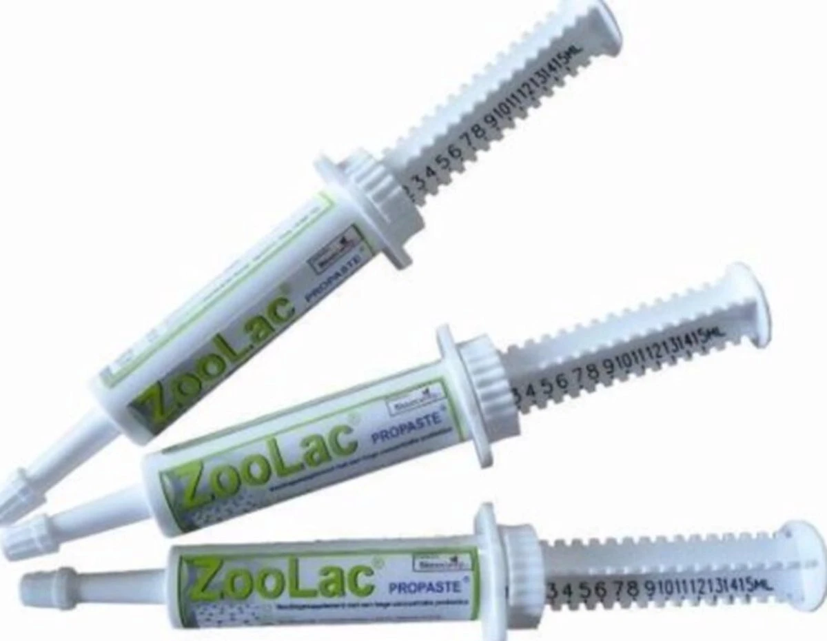 Zoolac Propaste - Probiotica Pasta - 32 Ml 4 Zoolac Propaste - Probiotica Pasta - 32 Ml - Image 2