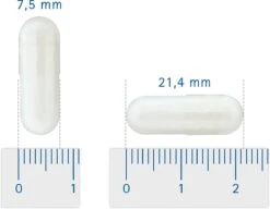 Pharmox Hond & Kat PEA 100% Puur 60 Capsules -Huisdierbenodigdheden Korting 1200x934 2