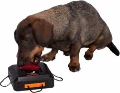 Trixie Dogtoy Dog Activity Strategy Game Gamble Box - Piepend Speelgoed - 15cm X 15cm X 9cm - Zwart/rood/oranje 18 Trixie Dogtoy Dog Activity Strategy Game Gamble Box - Piepend Speelgoed - 15cm X 15cm X 9cm - Zwart/rood/oranje -Huisdierbenodigdheden Korting 1200x935 1