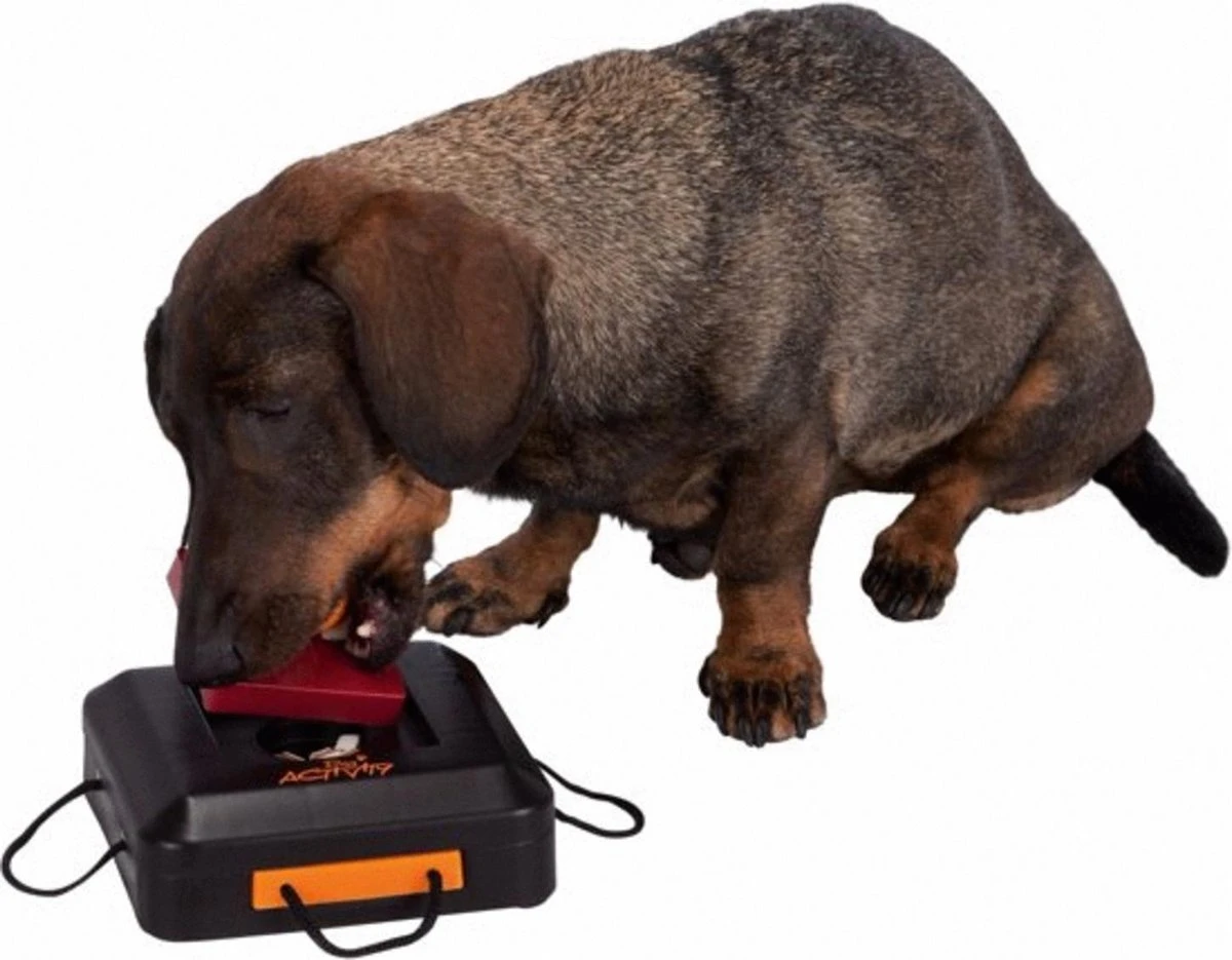 Trixie Dogtoy Dog Activity Strategy Game Gamble Box - Piepend Speelgoed - 15cm X 15cm X 9cm - Zwart/rood/oranje 6 Trixie Dogtoy Dog Activity Strategy Game Gamble Box - Piepend Speelgoed - 15cm X 15cm X 9cm - Zwart/rood/oranje - Image 4