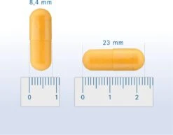 Pharmox Hond & Kat Groenlipmossel 60 Capsules -Huisdierbenodigdheden Korting 1200x937 4