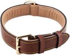 Brute Strength - Luxe Leren Halsband Hond - Bruin - L - (46 - 53 Cm) X 3,5cm -Huisdierbenodigdheden Korting 1200x940 1