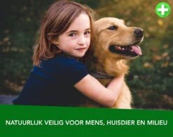 Teken- En Vlooienband Voor Honden PLUS - Natuurlijk Middel Tegen Vlooien En Teken - 100% Natuurlijk - 65 CM - Tot 8 Maand Werkzaam - Biologisch -Huisdierbenodigdheden Korting 1200x945 1