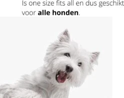 Merkloos Vlooienband Hond | Vlooien | Luizen | Teken | Mijten | 8 Maanden Bescherming | Honden -Huisdierbenodigdheden Korting 1200x952 3