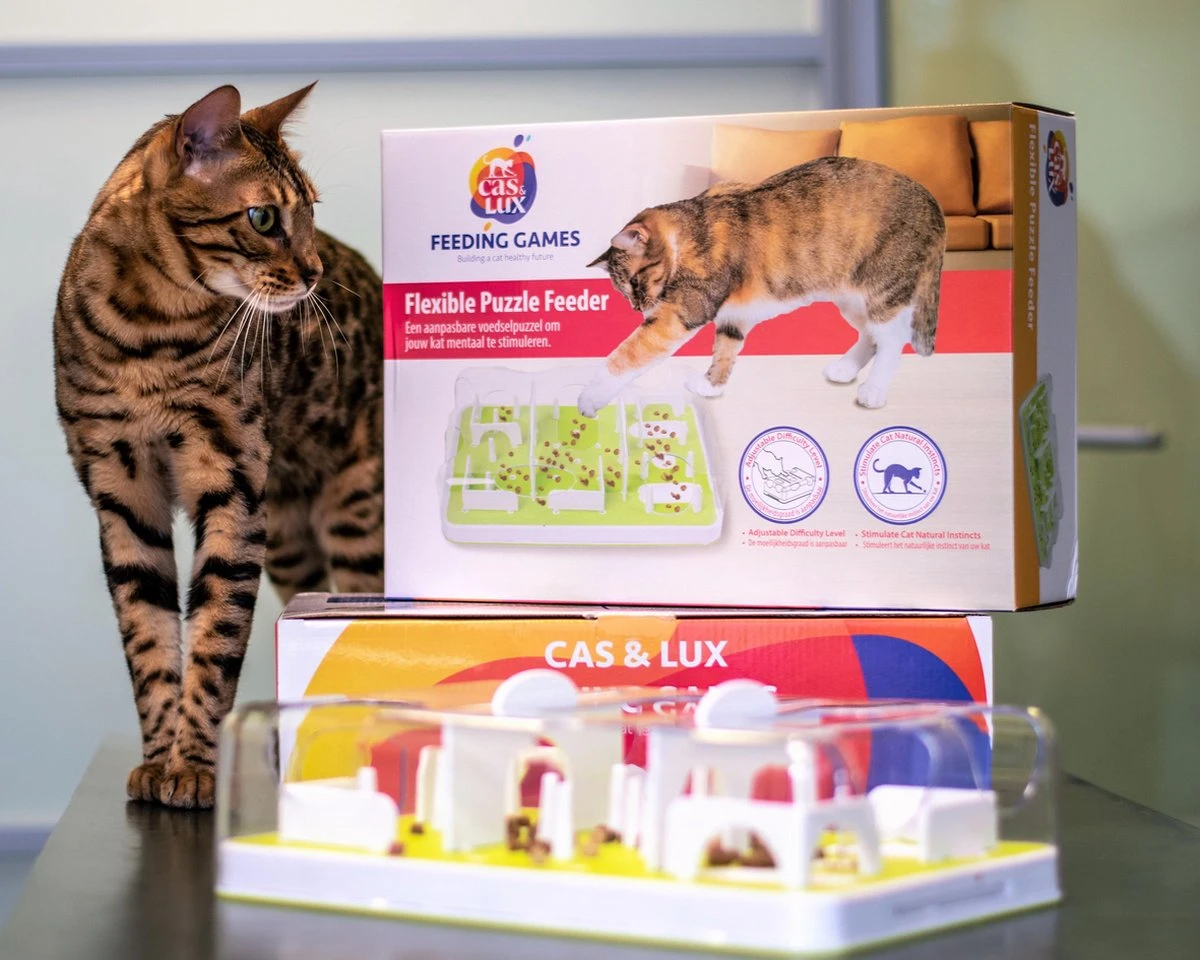 Cas & Lux Modulaire Puzzel Voederbak Voor Katten - Anti Schrokbak Kat - Inclusief 3 Verschillende Standen - Stijlvol Design - Voerpuzzel Kat - Slowfeeder - Kattenspeeltjes - Puzzel Kat - Anti Schrok 4 Cas & Lux Modulaire Puzzel Voederbak Voor Katten - Anti Schrokbak Kat - Inclusief 3 Verschillende Standen - Stijlvol Design - Voerpuzzel Kat - Slowfeeder - Kattenspeeltjes - Puzzel Kat - Anti Schrok - Image 2