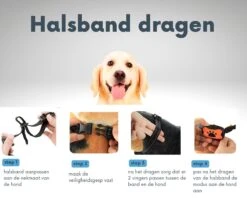 Anti-blafband - Anti Blaf Apparaat - Voor Kleine Honden En Grote Honden - Diervriendelijk - Opvoedingshalsband - Trainingshalsband - Inclusief Batterijen -Huisdierbenodigdheden Korting 1200x960 7