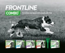 Frontline Combo - L: Van 20 Tot 40 Kg - Anti Vlooienmiddel En Tekenmiddel - Hond - 3 Pipetten -Huisdierbenodigdheden Korting 1200x979